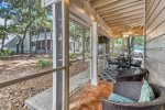 Screened in Porch w/ Lighting